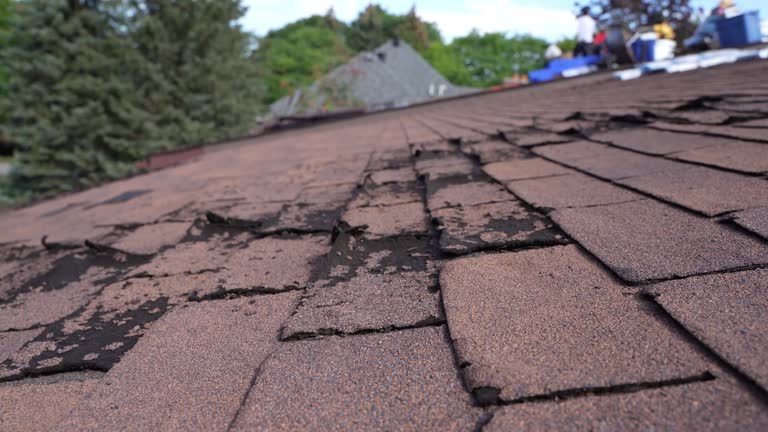 Best Emergency Roof Repair Services  in Selinsgrove, PA