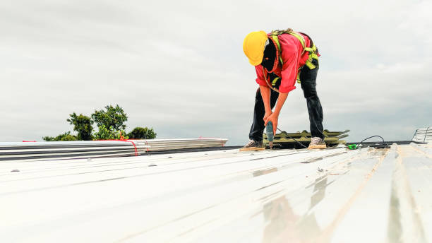 Best Roof Ventilation Installation  in Selinsgrove, PA